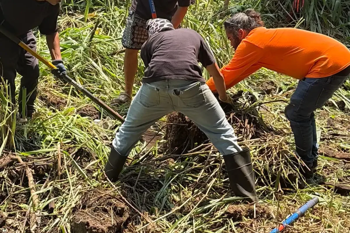 Hoala_Kealakekua_Nui_6262624